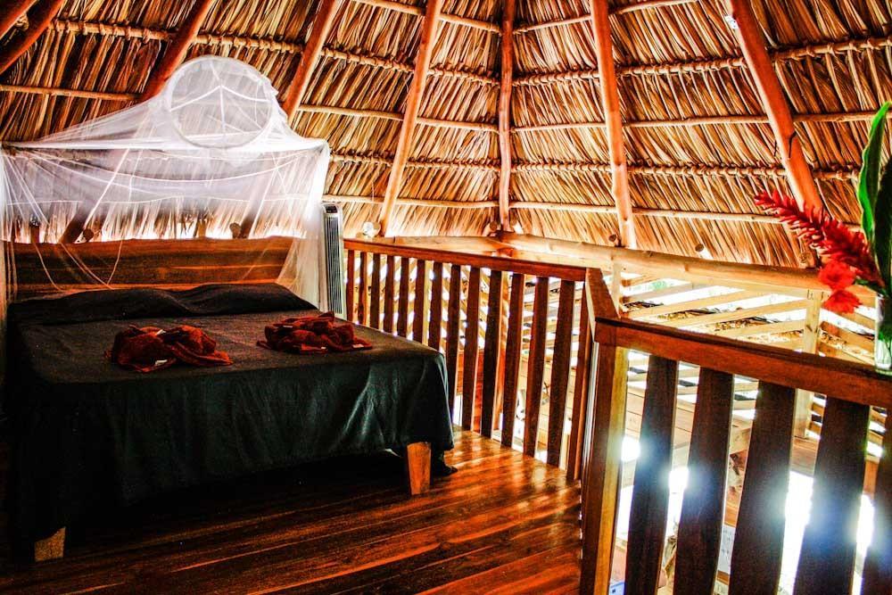 ホテル Disfrutalo Playa Santa Teresa  部屋 写真