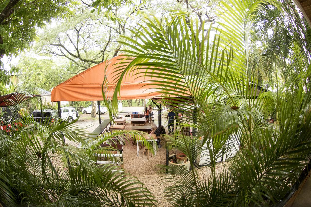 ホテル Disfrutalo Playa Santa Teresa  エクステリア 写真