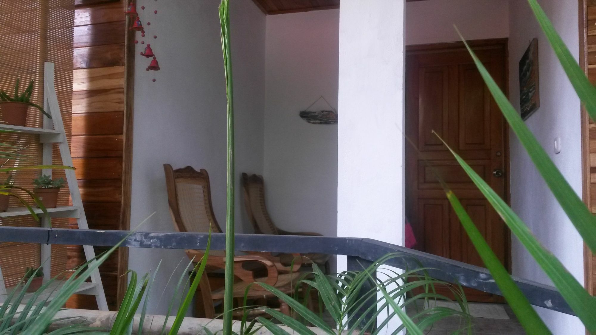 ホテル Disfrutalo Playa Santa Teresa  エクステリア 写真