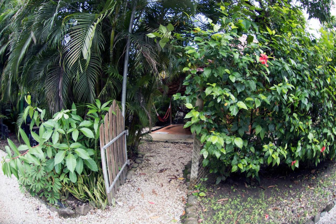 ホテル Disfrutalo Playa Santa Teresa  エクステリア 写真